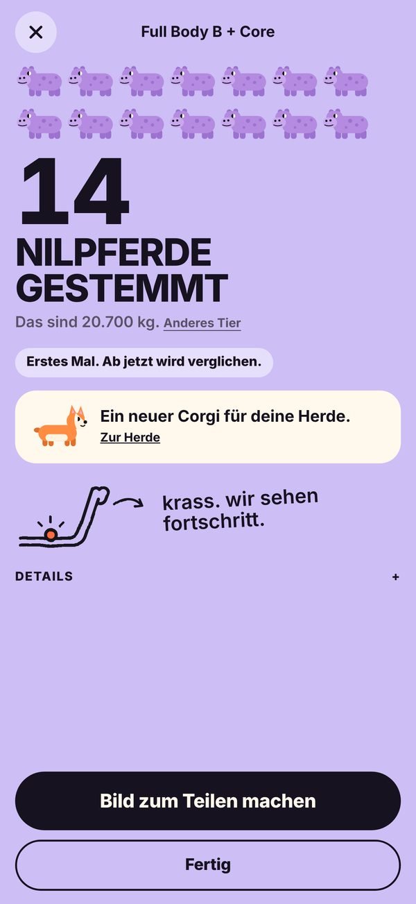 Herdy nach dem Training: 14 Nilpferde gestemmt